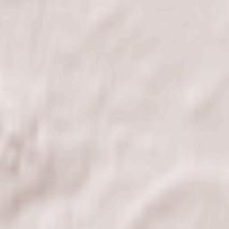 Pytalovskiy Rayon Terrain Map