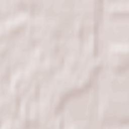 Puchezhskiy Rayon Terrain Map