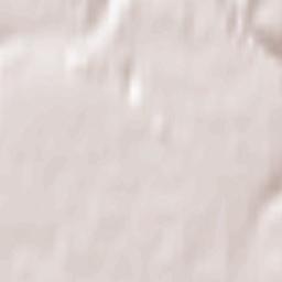 Sukhoy Log Terrain Map