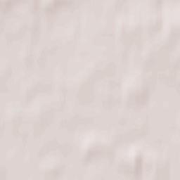 Salaspils Terrain Map