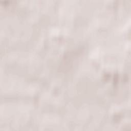 Selizharovo Terrain Map