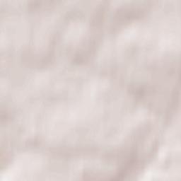 Zav’yalovskiy Rayon Terrain Map