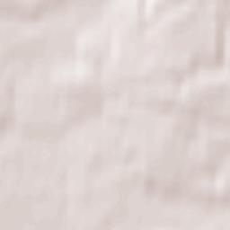 Gryaznovskoye Terrain Map