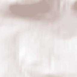 Zvëzdnyy Terrain Map