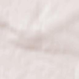 Bol’sheuluyskiy Rayon Terrain Map