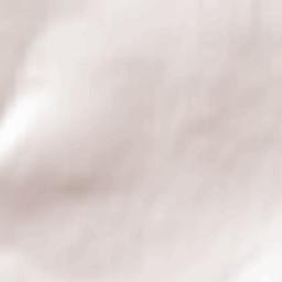 Serebryanyy Bor Terrain Map