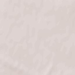 Sovkhoznyy Terrain Map