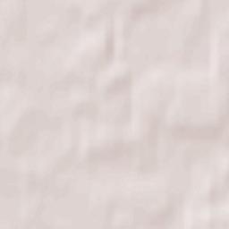 Chistoye Terrain Map