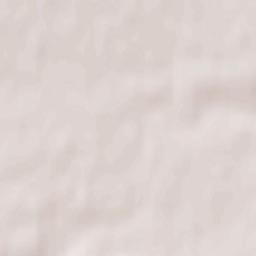 Stantsia Staritsa Terrain Map