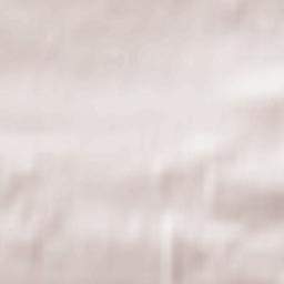 Muirhead Terrain Map