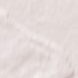 Timiryazevskoye Terrain Map