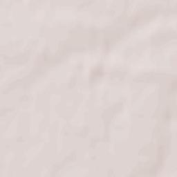 Novaya Zaimka Terrain Map