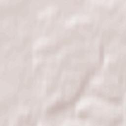 Reshetnikovo Terrain Map