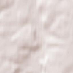 Krasnozavodsk Terrain Map