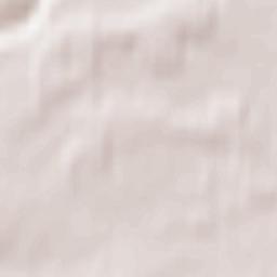 Vaiņode Terrain Map