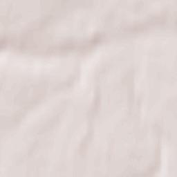 Rogachëvo Terrain Map