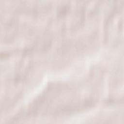 Frolishchi Terrain Map