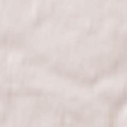 Shevlyakovo Terrain Map