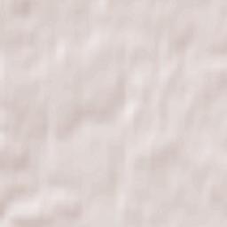 Skoropuskovskiy Terrain Map