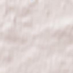 Viesīte Terrain Map