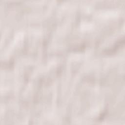 Tsentral’nyy Terrain Map