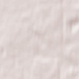 Suslonger Terrain Map