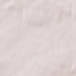 Staraya Toropa Terrain Map