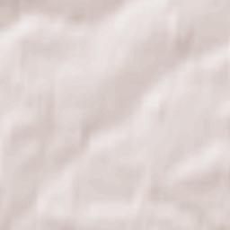 Kol’chuginskiy Rayon Terrain Map