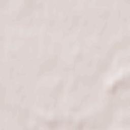 Vecvārkava Terrain Map