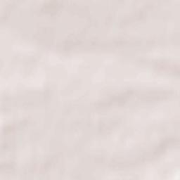 Nizhnyaya Poyma Terrain Map