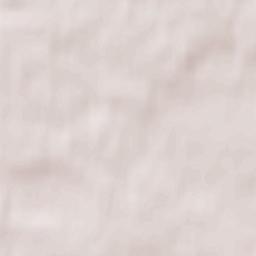 Stepantsevo Terrain Map