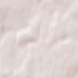 Yel’digino Terrain Map