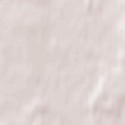 Krasnyy Oktyabr’ Terrain Map