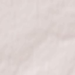 Bogorodsk Terrain Map