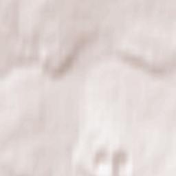 Rudnichnyy Terrain Map