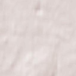 Billesholm Terrain Map