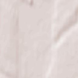 Salantai Terrain Map