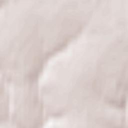 Novyye Lapsary Terrain Map