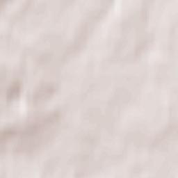 Shakhovskaya Terrain Map