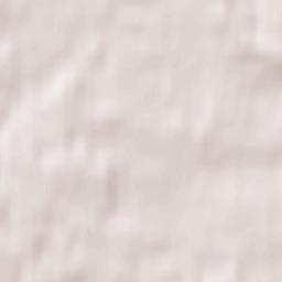 Chashnikovo Terrain Map