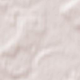 Shchëlkovskiy Rayon Terrain Map