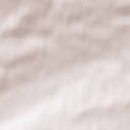 Banknock Terrain Map