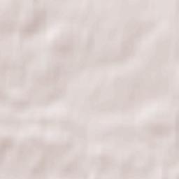 Novopetrovskoye Terrain Map