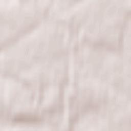 Cherkizovo Terrain Map