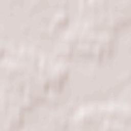 Pakruojis Terrain Map