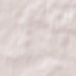 Lesnyye Polyany Terrain Map