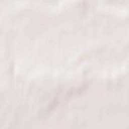 Biryusinsk Terrain Map