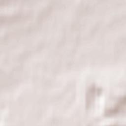 Newbridge Terrain Map