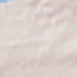 Petushki Terrain Map