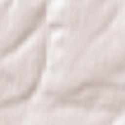 Taremskoye Terrain Map